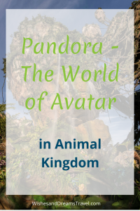 If you haven't made a trip to Disney World lately, now is the time to plan one!  Disney opened up Pandora - The World of Avatar