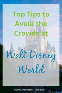 Tips to Avoid the Crowds at Walt Disney World