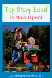 Toy Story Land is Now Open!